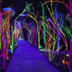 The Aquarium created by Matt King, fish by Sarah Bradley. Photo by Lindsey Kennedy/Meow Wolf